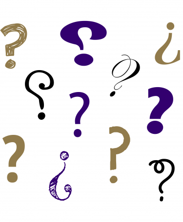 Graphic of many question marks.